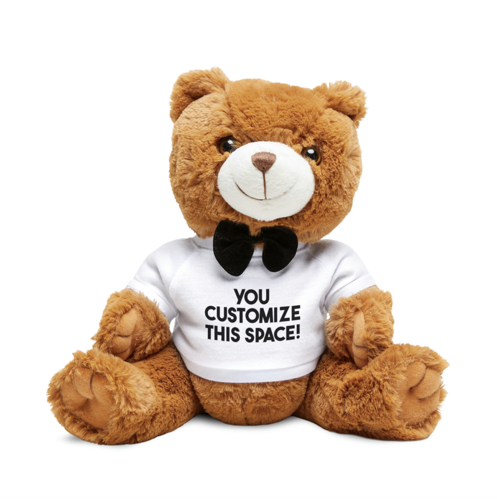 Custom Tee Teddy Bear